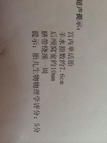 journal_insert_pic_168312886