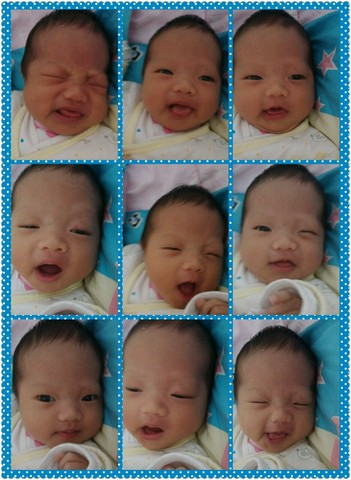 journal_insert_pic_168682188