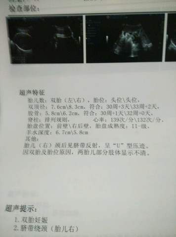 journal_insert_pic_169455931