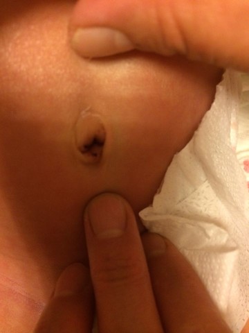 journal_insert_pic_169730342