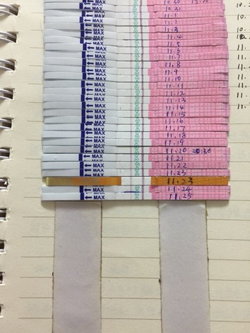 journal_insert_pic_169821361