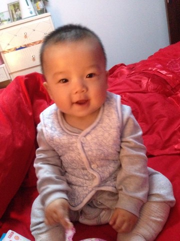 journal_insert_pic_170376063