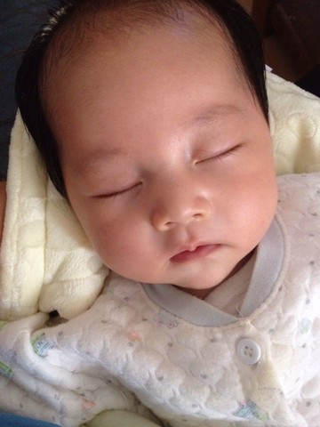 journal_insert_pic_171054314