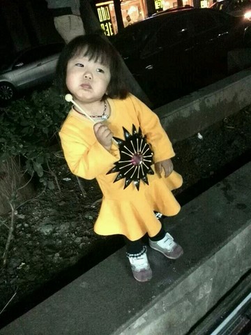 journal_insert_pic_171267423