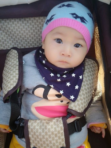 journal_insert_pic_173097398
