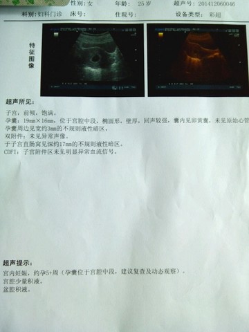journal_insert_pic_173184867