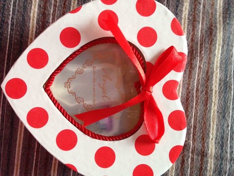 journal_insert_pic_173282477
