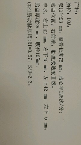journal_insert_pic_173206161