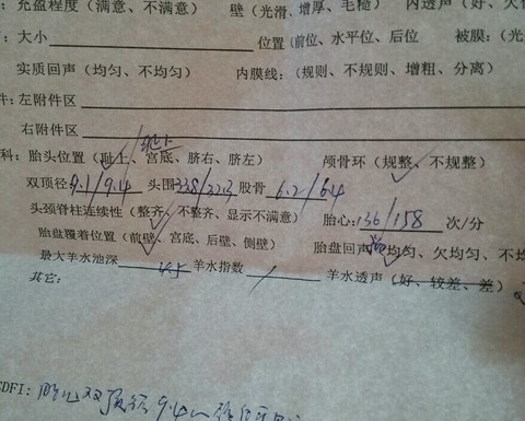 journal_insert_pic_173828460