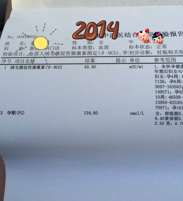 journal_insert_pic_174893151