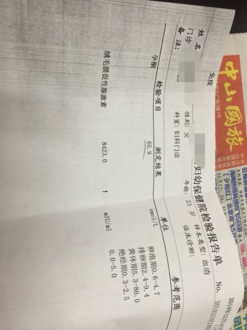 journal_insert_pic_176946606