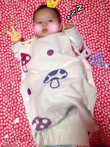 journal_insert_pic_182622673