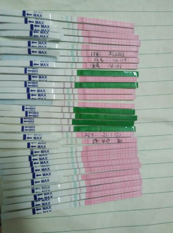 journal_insert_pic_184380936