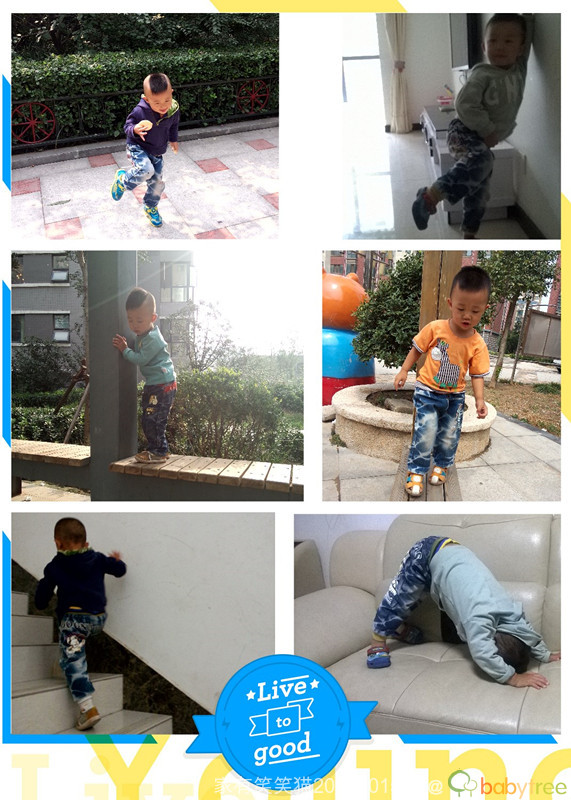 journal_insert_pic_185625443