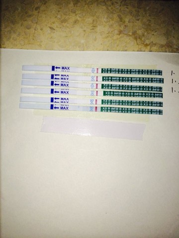 journal_insert_pic_185416273