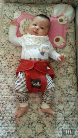 journal_insert_pic_186018209