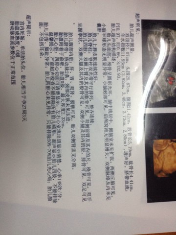 journal_insert_pic_186591409
