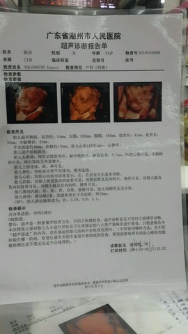 journal_insert_pic_186247624
