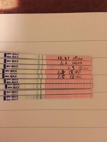 journal_insert_pic_187995498