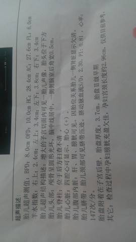 journal_insert_pic_189272075