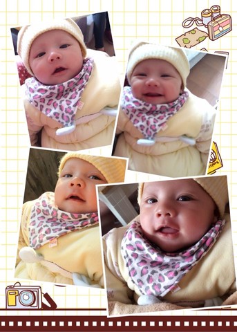 journal_insert_pic_190473693