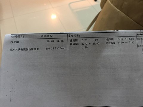 journal_insert_pic_190803999