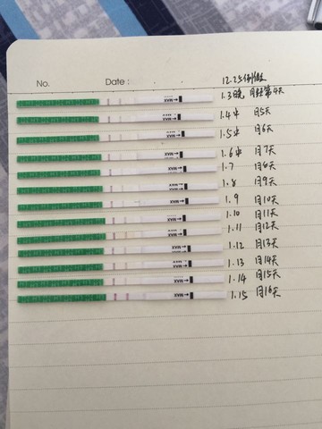 journal_insert_pic_190680719