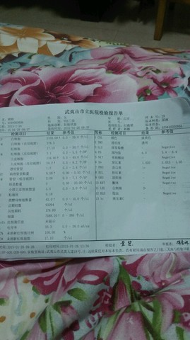 journal_insert_pic_194390194