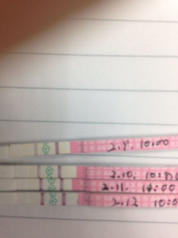 journal_insert_pic_198997899