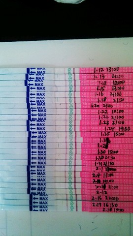 journal_insert_pic_200497144