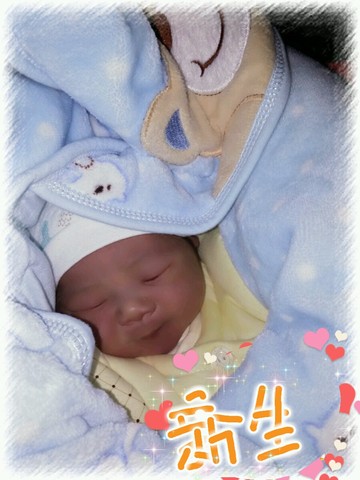 journal_insert_pic_201018550