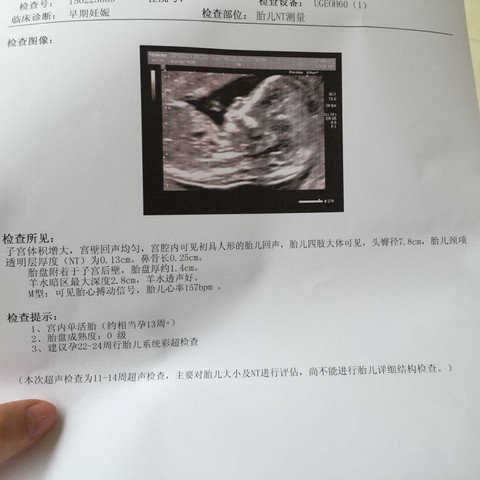journal_insert_pic_201009662