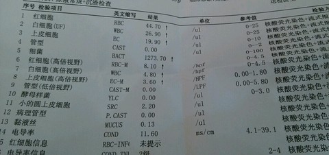 journal_insert_pic_201274386