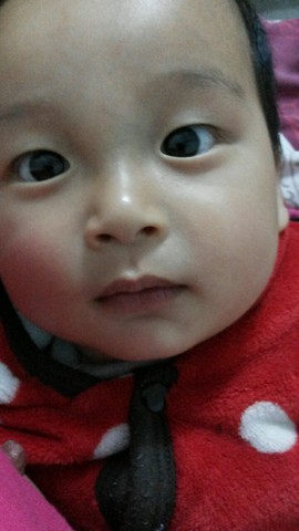 journal_insert_pic_201574348