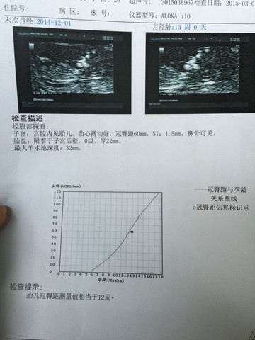 journal_insert_pic_203144539