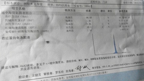 journal_insert_pic_204857531