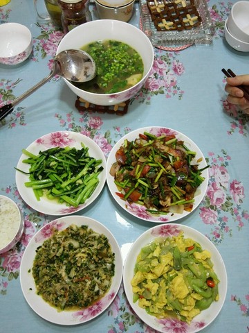 journal_insert_pic_205025940