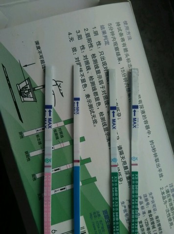 journal_insert_pic_205304552