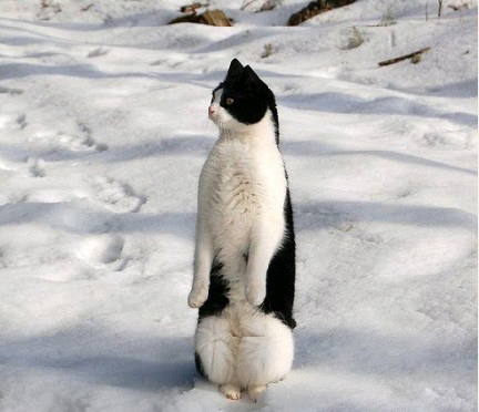 一波趣图正在逼近小板凳坐好啦