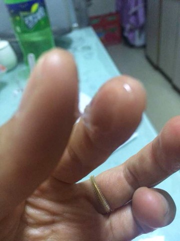 journal_insert_pic_207150988