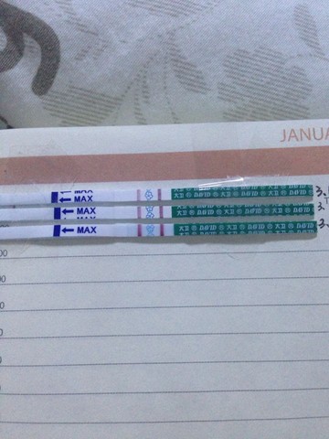 journal_insert_pic_207441538