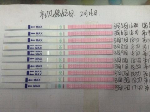 journal_insert_pic_207725462