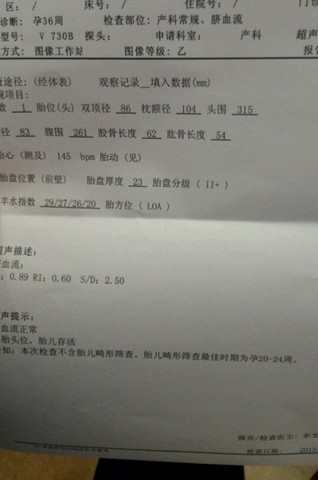journal_insert_pic_208380928