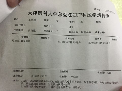 journal_insert_pic_208272495