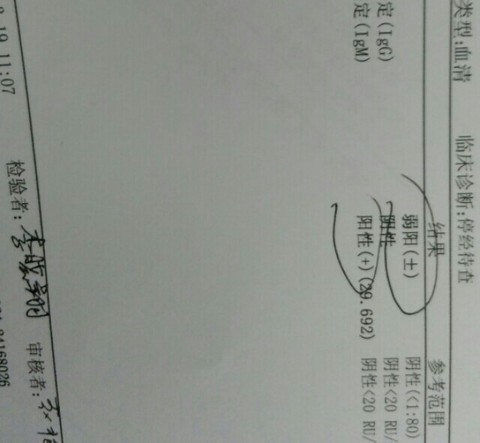 journal_insert_pic_209517447