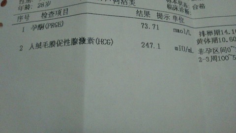 journal_insert_pic_211186505