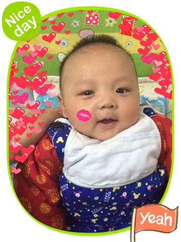 journal_insert_pic_211426386