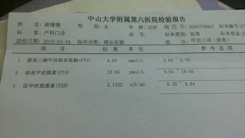 journal_insert_pic_211942346