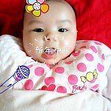 journal_insert_pic_213941664