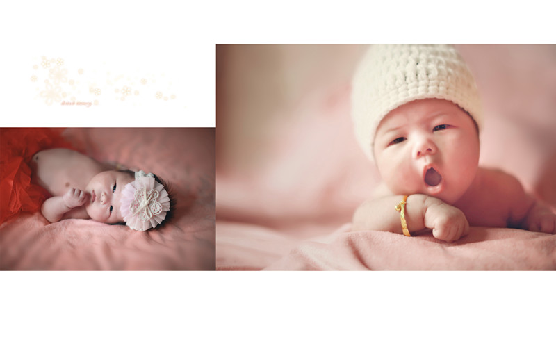 journal_insert_pic_215240774